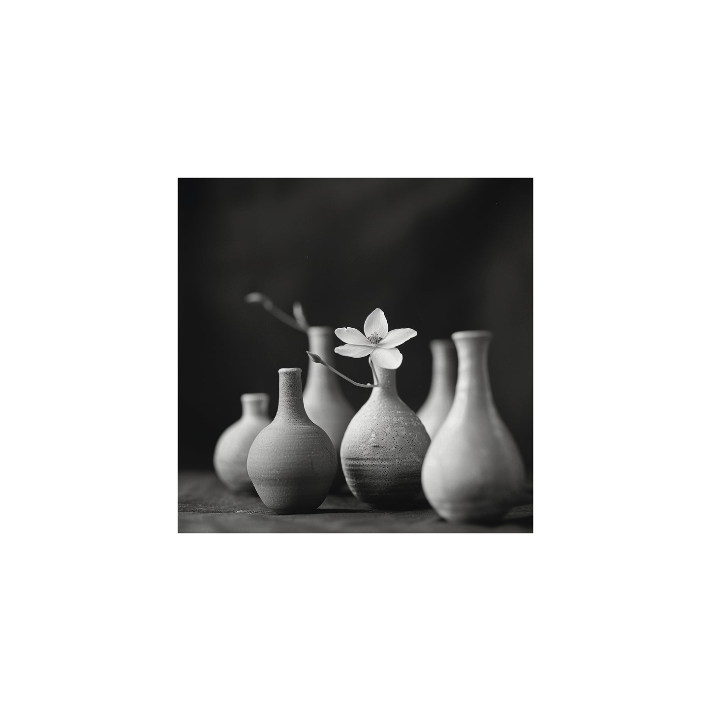 Black and white minimalist vase photography