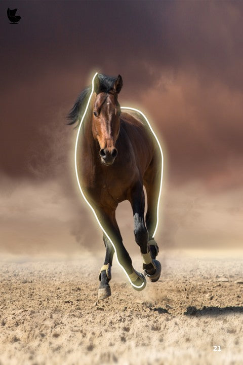 thunder hooves-illuminated equine horse power led wall frame