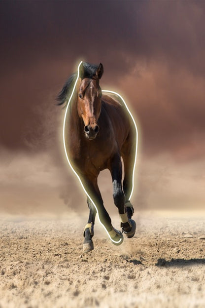 LED Wall Frame (Running Horse with Neon Outline)