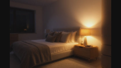 Modern Rustic or transitional style with elements of organic and contemporary design lamp.